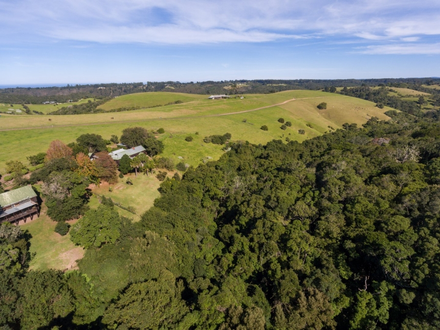 5 Bedroom Property for Sale in Plettenberg Bay Rural Western Cape